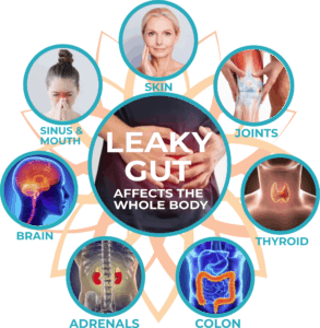 fulvic acid helps fix your leaky gut