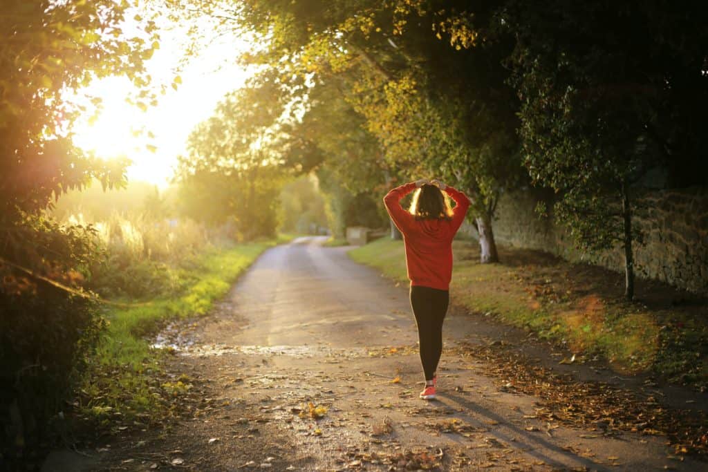 Do Probiotics Support Mental Health?