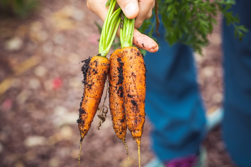 soil based probiotics brand-AEON